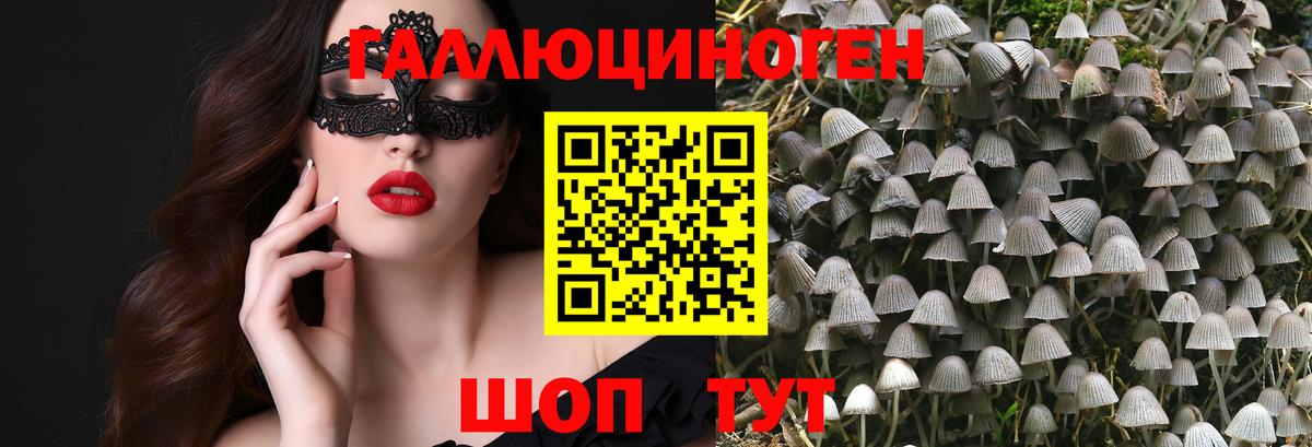 Галлюциногенные грибы MAGIC MUSHROOMS Костомукша