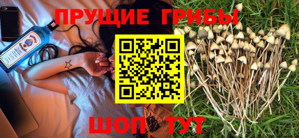 Костомукша  Псилоцибиновые грибы мухоморы  Вход с VPN  Галлюциногенные грибы Cubensis 